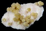 Yellow Calcite On Scolecite (Zeolite) Sprays - Maharashtra, India #168711-1